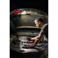 M12 Rover Mounting Flood Light, LED, 250 W, 1000 Lumens Equipment World