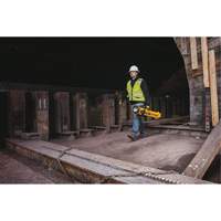 20V Max Cordless Tripod Light, LED, 3000 Lumens, Plastic Housing Equipment World