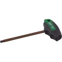 Cl&eacute; Torx, embout Hexagonale, T-30 x Poign&eacute;e en T Equipment World