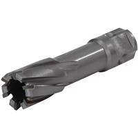 Couteau annulaire &agrave; tige universelle, Diam&egrave;tre de 1/2", Carbure, Profondeur de la coupe de 1", Tige 3/4" Equipment World