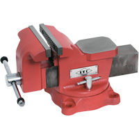Swivel Base Mechanic's Vise, 6" Jaw Width, 3" Throat Depth Equipment World