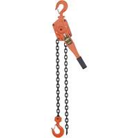 Lever Chain Hoists