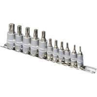SS1438-11T Chrome Socket Bit Sets, Torx&reg;, 1/4"/3/8" Drive, 10 Pcs Equipment World