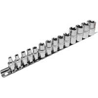 SS314TS  Jeu de douilles externes standards, Torx, Prise 1/2"/1/4"/3/8", 14 mr Equipment World