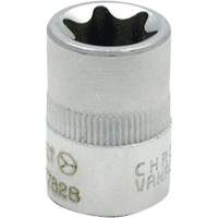 Douille externe Torx E-4 Equipment World