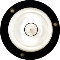 Niveau Bull's-Eye Equipment World