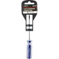 Tournevis &agrave; fente bleu transparent avec bandes , Tige de 1/8", Ronde, Prise en Plastique Equipment World