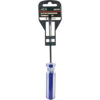 Tournevis &agrave; fente bleu transparent avec bandes, Tige de 3/16", Ronde, Prise en Plastique Equipment World