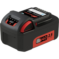 Bloc-pile, Lithium-ion, 40 V Equipment World