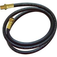 Replacement Hose, Air, 6.5' Equipment World