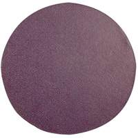 Coated Abrasives