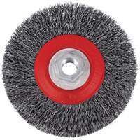 5C14T High Performance Crimped Wire Brush, 5" Dia., 0.014" Fill, 5/8"-11NC Arbor Equipment World