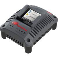 IQV20 Compact Battery Charger, 20 V, Lithium-Ion Equipment World