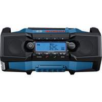 Compact Jobsite Radio with Bluetooth&reg; 5.0, Lithium-Ion, 18 V Equipment World