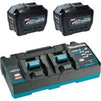 XGT Dual Port Rapid Charger Starter Kit with (2) 8 Ah Batteries, 40 V, Lithium-Ion Equipment World