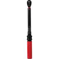 Cl&eacute; dynamom&eacute;trique, &agrave; cliquer, Entraînement 3/8" carr&eacute;, 20 - 100 lb-po/27,1 - 135,6 Nm Equipment World