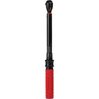 Cl&eacute; dynamom&eacute;trique, &agrave; cliquer, Entraînement 3/8" carr&eacute;, 20 - 100 lb-po/27,1 - 135,6 Nm Equipment World