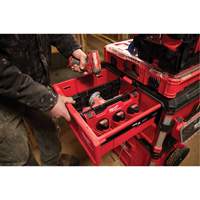 Divider for PACKOUT Drawer Tool Boxes Equipment World