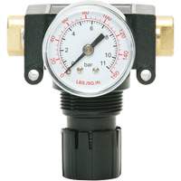 D&eacute;tendeur &agrave; piston en ac&eacute;tal MODULAIR 200, 1/4" NPT, PSI max. de 150 psi, Canalisation/Modulaire Equipment World