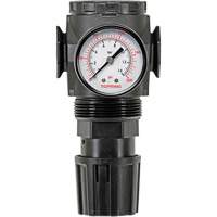 D&eacute;tendeur &agrave; diaphragme en zinc MODULAIR 300, 3/8" NPT, PSI max. de 300 psi, Canalisation/Modulaire Equipment World
