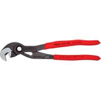 Pince Raptor, 10" Equipment World