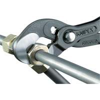Pince Raptor, 10" Equipment World