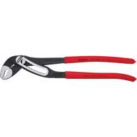 Pince multiprise auto-bloquante Alligator&reg;, 12" Equipment World