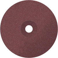 Coolcut Sanding Disc, Aluminum Oxide, 24, 7" Dia x 7/8" Arbor Equipment World