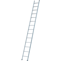 Industrial Heavy-Duty Extension/Straight Ladders, 8', Aluminum, 300 lbs., CSA Grade 1A Equipment World