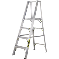 Platform Ladders