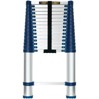 Telescopic Ladders