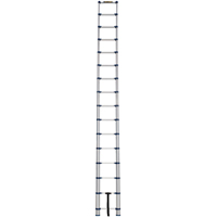 Telescopic Ladder, 3' - 15.5', Aluminum, 250 lbs. Capacity, Type 1 Equipment World