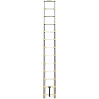 Telescopic Ladder, 3' - 12', Aluminum, 250 lbs. Capacity, Type 1 Equipment World