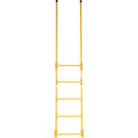 Walk-Through Style Dock Ladder VD450 | Equipment World