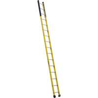 Single Manhole Ladder, 16', Fibreglass, 375 lbs., CSA Grade 1AA Equipment World