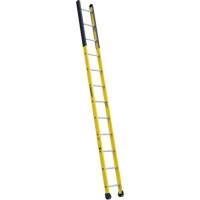 Single Manhole Ladder, 12', Fibreglass, 375 lbs., CSA Grade 1AA Equipment World