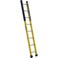 Single Manhole Ladder, 8', Fibreglass, 375 lbs., CSA Grade 1AA Equipment World