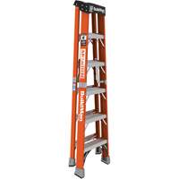 Escabeau, 6', Fibre de verre, Capacit&eacute; 375 lb, Type 1AA Equipment World