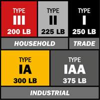 Escabeau avec plateau &agrave; peinture, 10', Aluminium, Capacit&eacute; 225 lb, Type 2 Equipment World