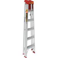 Step Ladder with Paint Tray, 6', Aluminum, 200 lbs. Capacity, Type 3 Equipment World