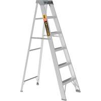 Step Ladder, 6', Aluminum, 225 lbs. Capacity, Type 2 Equipment World