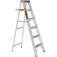 Step Ladder with Paint Tray, 6', Aluminum, 225 lbs. Capacity, Type 2 Equipment World