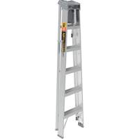 Step Ladder with Paint Tray, 6', Aluminum, 225 lbs. Capacity, Type 2 Equipment World