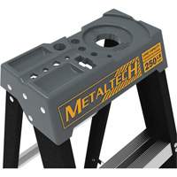 Escabeau avec plateau &agrave; peinture, 10', Fibre de verre, Capacit&eacute; 250 lb, Type 1 Equipment World