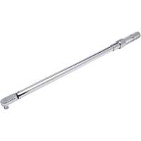 Fixed Head Micrometer Torque Wrench, Click, 1/2" Square Drive, 50-250 ft-lbs. Equipment World