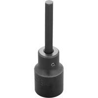 Socket Bit, Hex, 6 mm x 3-1/4" L, 1/2" Drive Equipment World