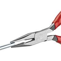Long Nose Pliers with Cutter, 5" L Equipment World