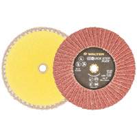 QUICK-STEP FLEX, 5" x Type 29, 40 Grit, Aluminum Oxide Equipment World