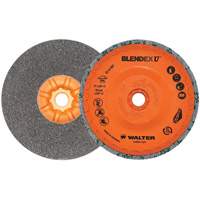 Blendex U Finishing Cup Disc, 5" Dia., Fine Grit, Silicon Carbide Equipment World