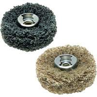 2-Piece EZ Lock Finishing Abrasive Buffs Equipment World